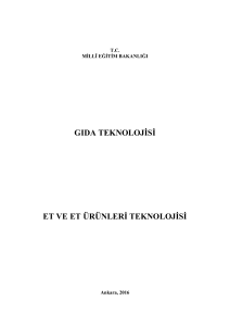 Et ve Et &Uuml;r&uuml;nleri Teknolojisi
