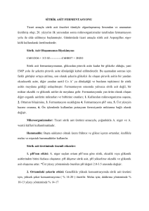 Sitrik asit fermentasyonu