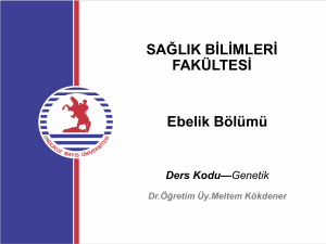Genetik Dersi: Genetik Materyal Sunumu